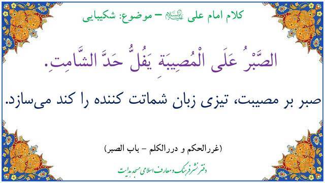 کتاب  شفاء الصدور ص : 185‏تنبيه‏ درعدد انصار الحسین يا ابا عبد اللّه لقد عظمت الرزيّة و جلّت المصيبة بك علينا و على جميع اهل الاسلام‏