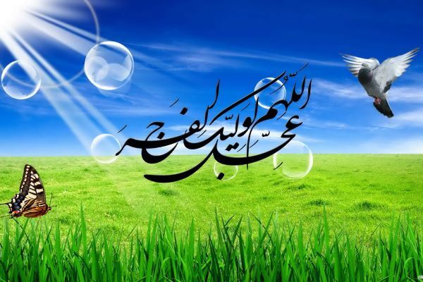 شبهای پیشاور در دفاع از حریم تشیع ص711 عیادت ابی بکر و عمر از فاطمه (علیها السلام) اینک هم برای خاتمه عرضم خبر دیگری برای اثبات مطلب بعرضتان می رسانم