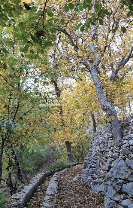 جهانبينى : راهنمای خدا شناسی 2-درباره شناخت، امتياز انسان نسبت به ساير موجودات، برخوردارى آنها از نعمت بزرگ شناخت و معرفت است.