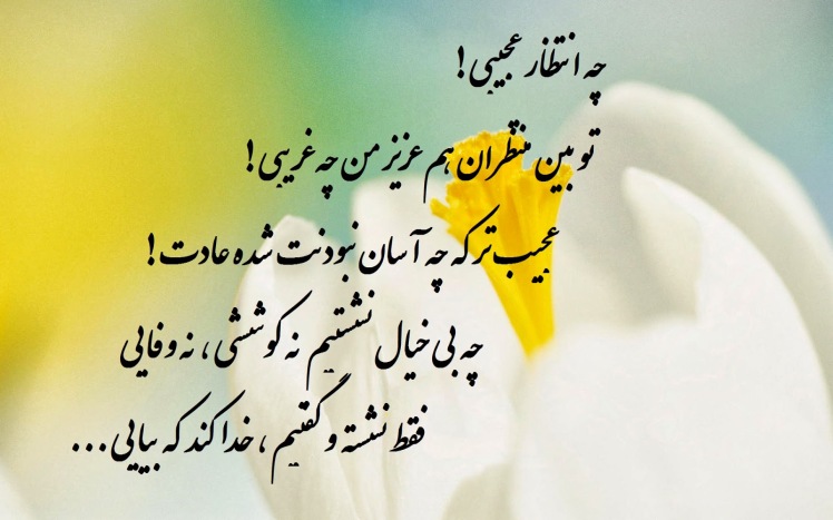 مكيال المكارم در فوائد دعا  براى حضرت قائم  عليهما السّلام   ،ج2- ص485 و آنچه از ما برايتان نقل شده را بنگريد، چنانچه ديديد با آنچه در قرآن آمده موافق است